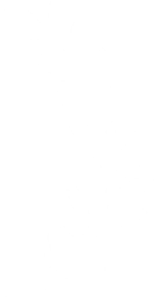 tree right white